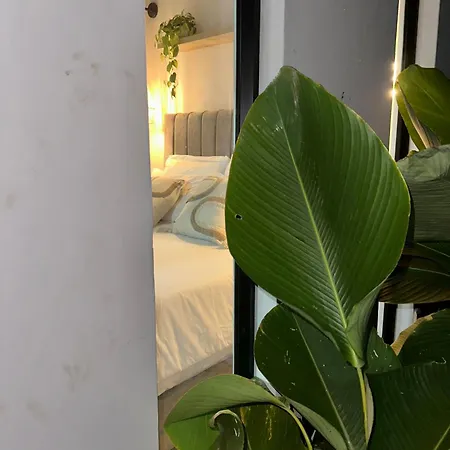 Cielo Abierto Cabana Glamping Quimbaya Exterior photo
